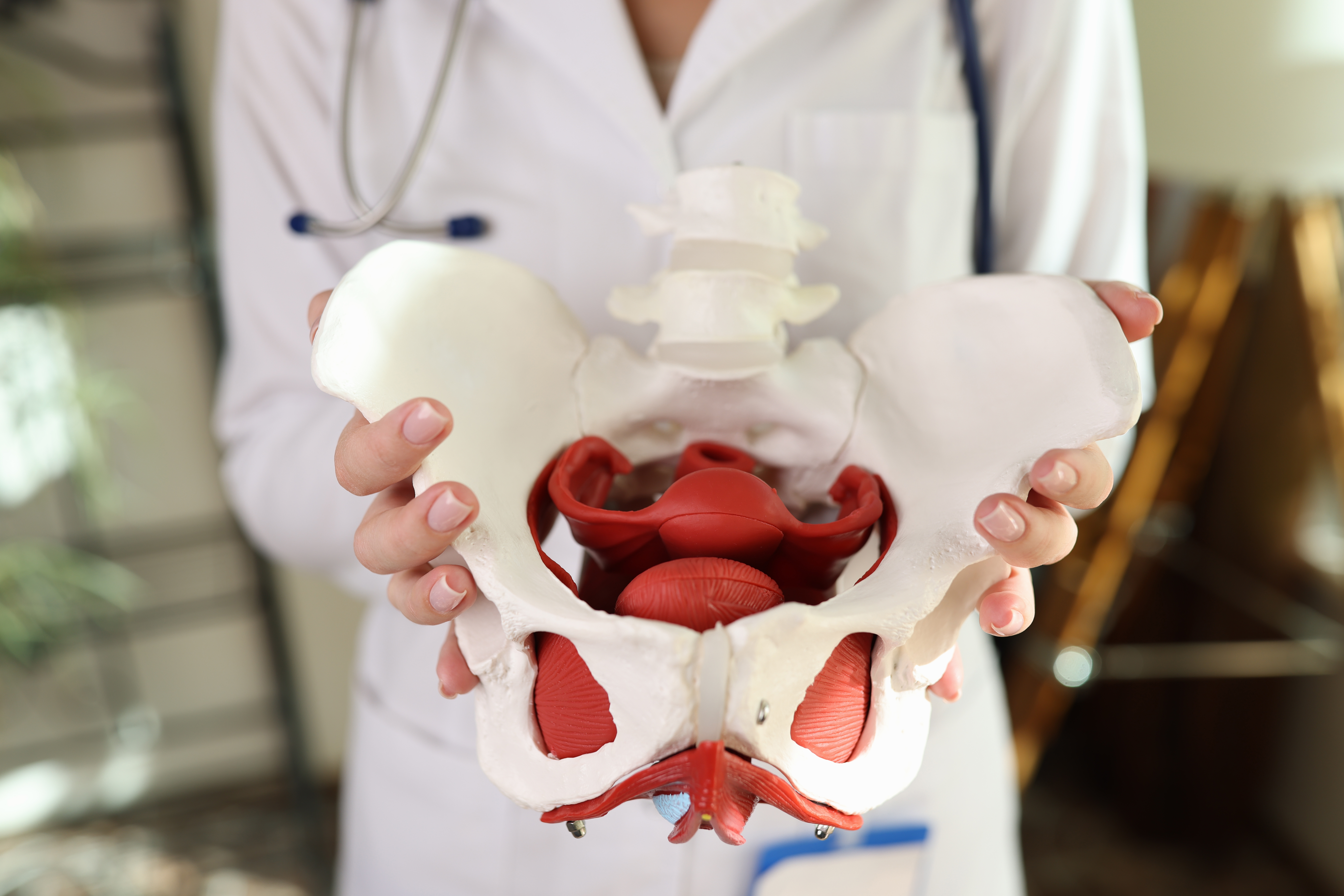 Pelvic Floor Health: Signs of Dysfunction and When to See Your OB-GYN